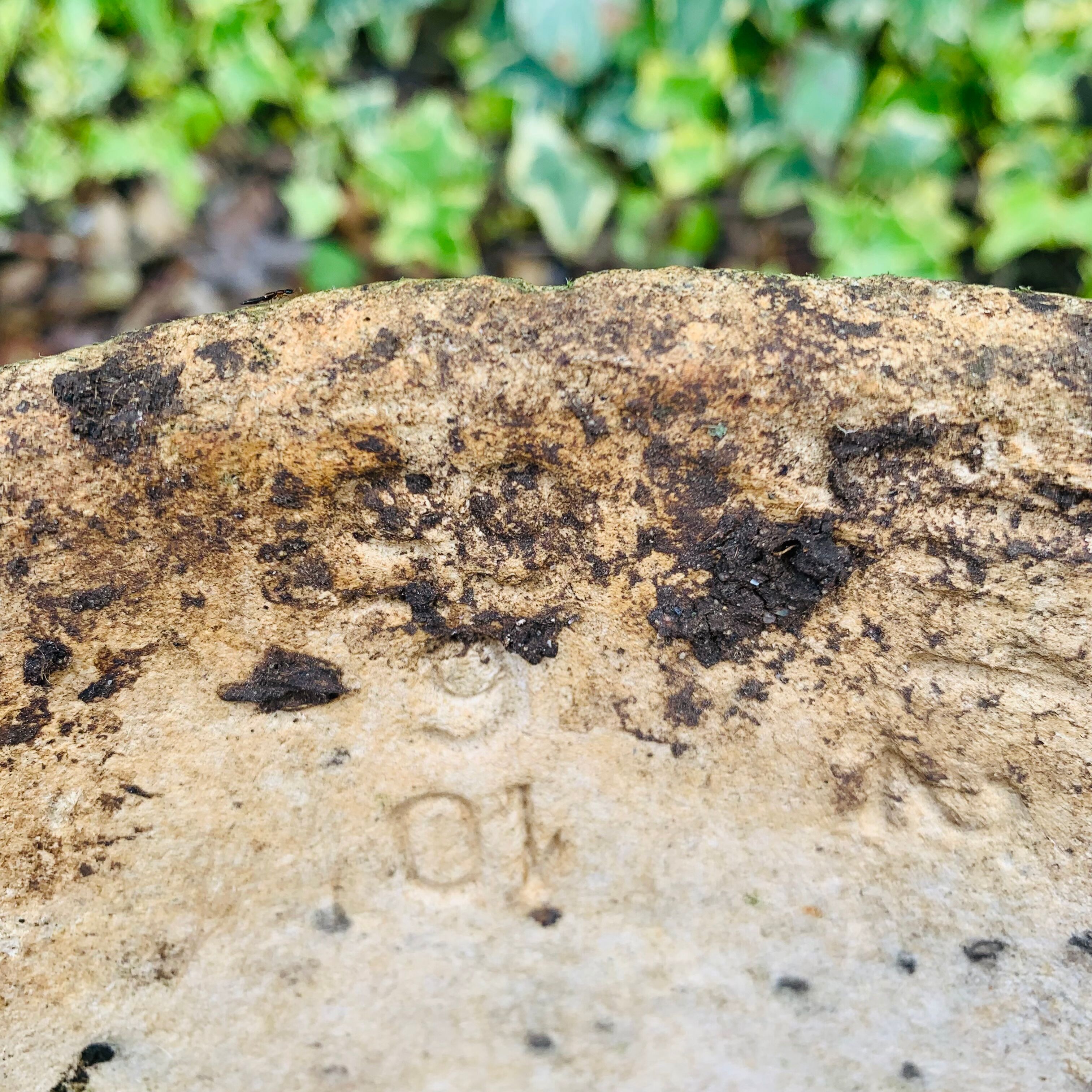 Diabolo planter by Anton Bee