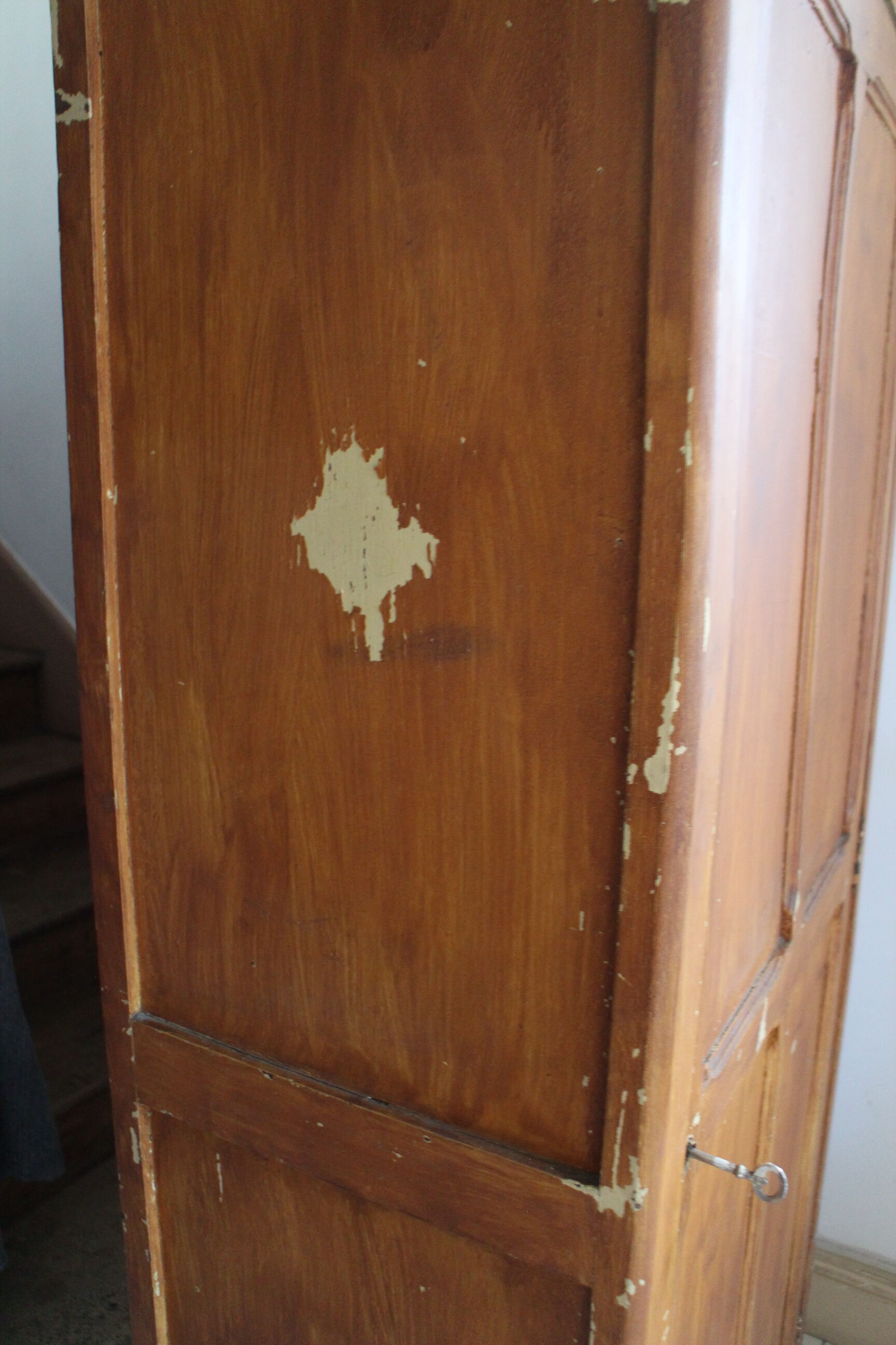 Parisian wardrobe door