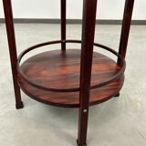 Plant plateau Secession no.31 by Otto Wagner