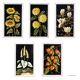 Set of five vintage flower still life paintings.