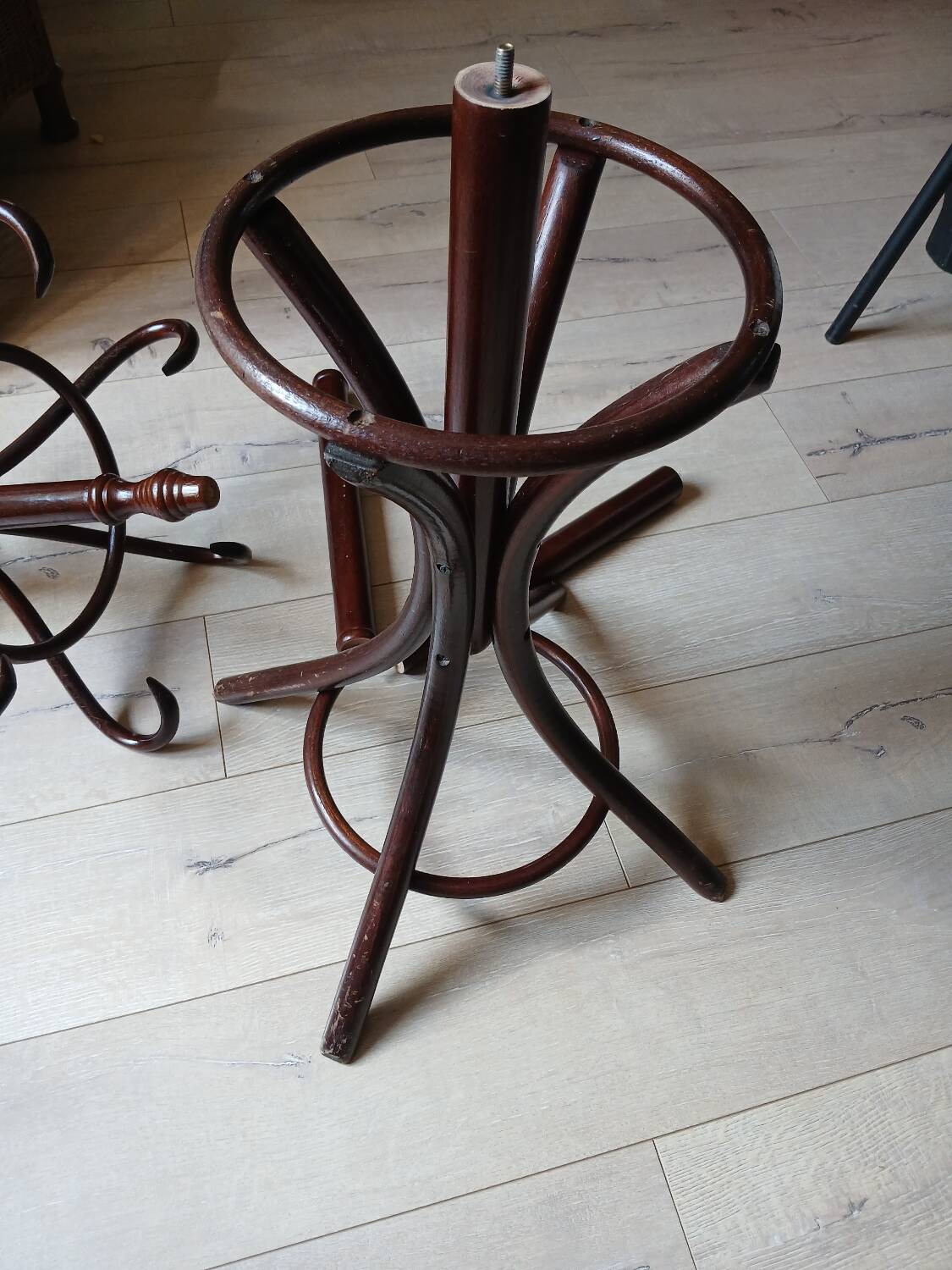 Porte manteau perroquet