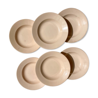 6 Hollow plates Rose Digoin Sarreguemines