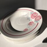 8 vintage Avranches earthenware plates decorated with roses