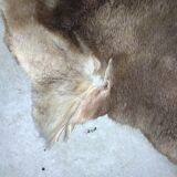 Reindeer skin