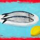 2 sardines, un citron par Joseph Rethlin