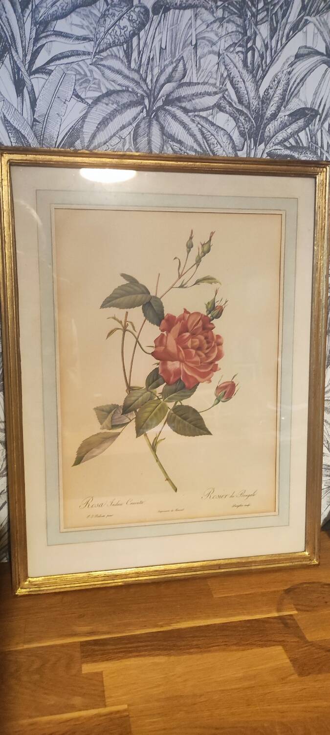 Redouté executive trio