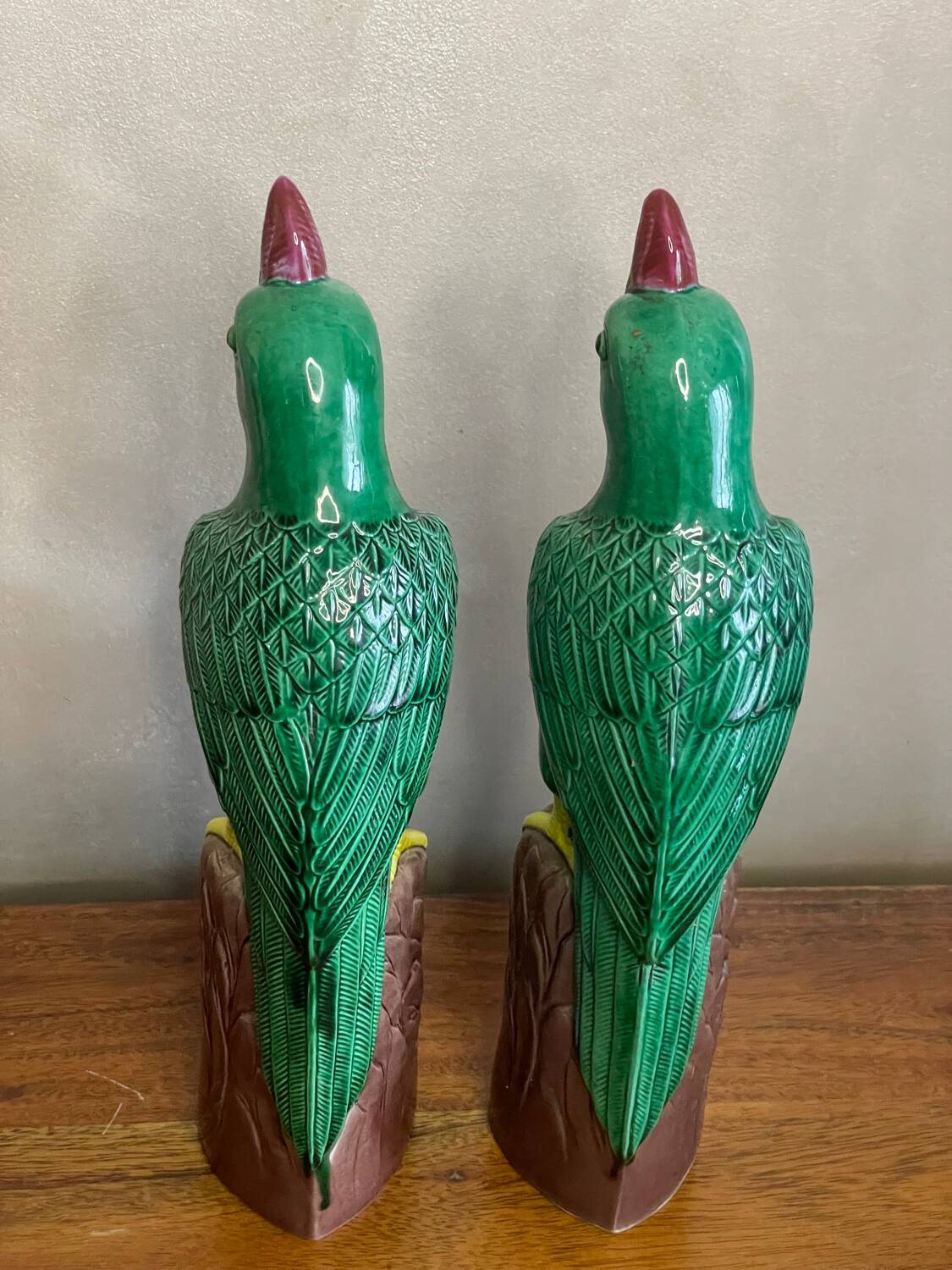 Pair of parrots