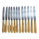 12 couteaux à fruit, dessert. manche en corne. longueur 19 cm