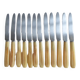 12 fruit knives, dessert. horn handle. length 19 cm