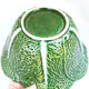 Saladier like cabbage leaves in green dabbling