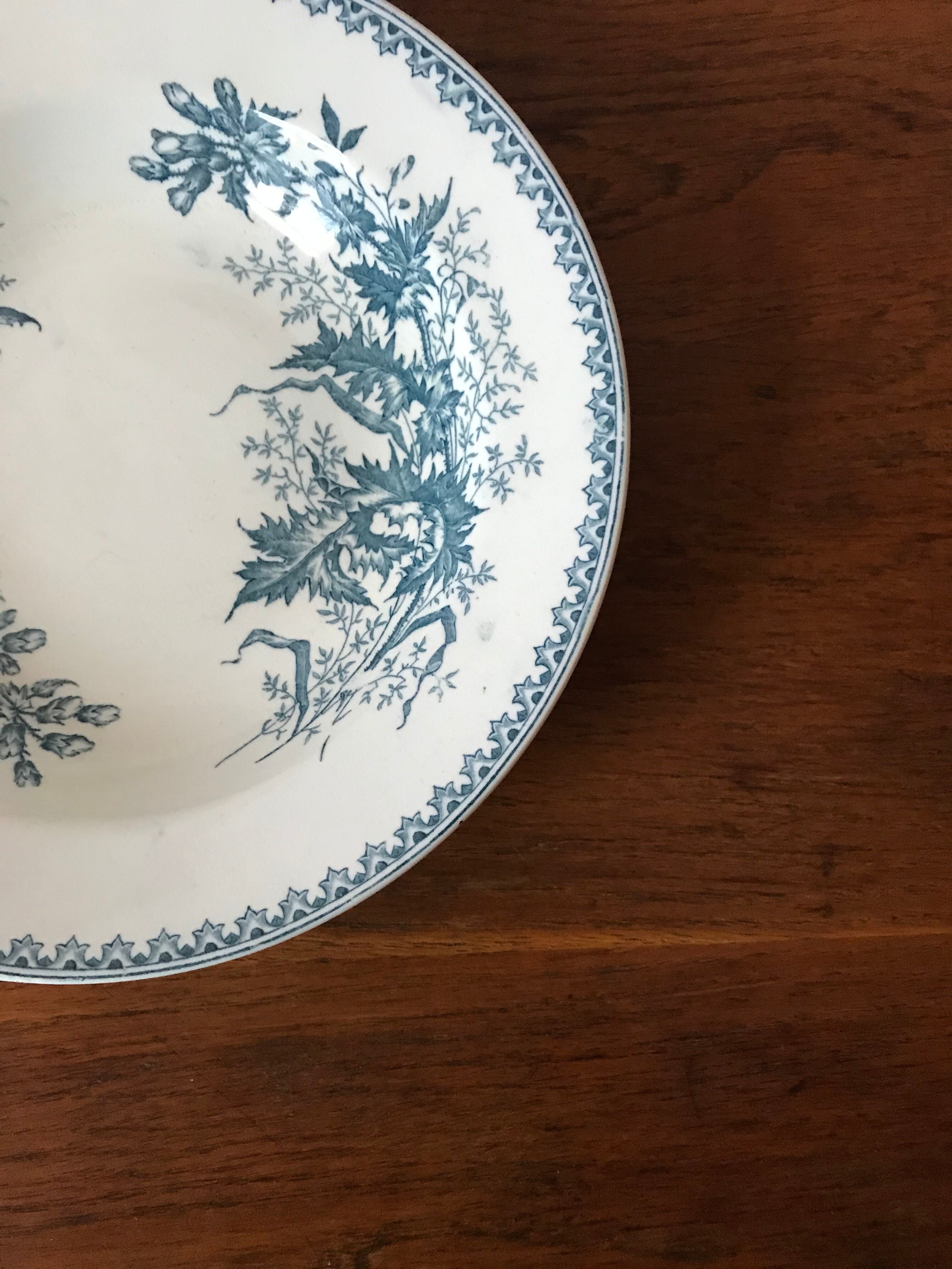 Saladier iron earth Thistle