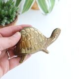 Brass turtle