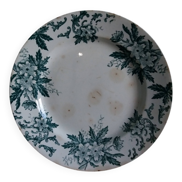 Assiette plate terre de fer Saint-Amand décor vert Anémone