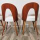 Dining Chairs by Antonin Suman, 1960s, Set of 4