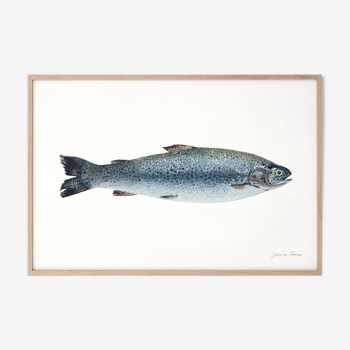 "Mia", the trout, art print 21/29.7 cm