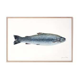 "Mia", the trout, art print 21/29.7 cm