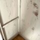 Raw wood wardrobe