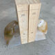 Bookend in agathe