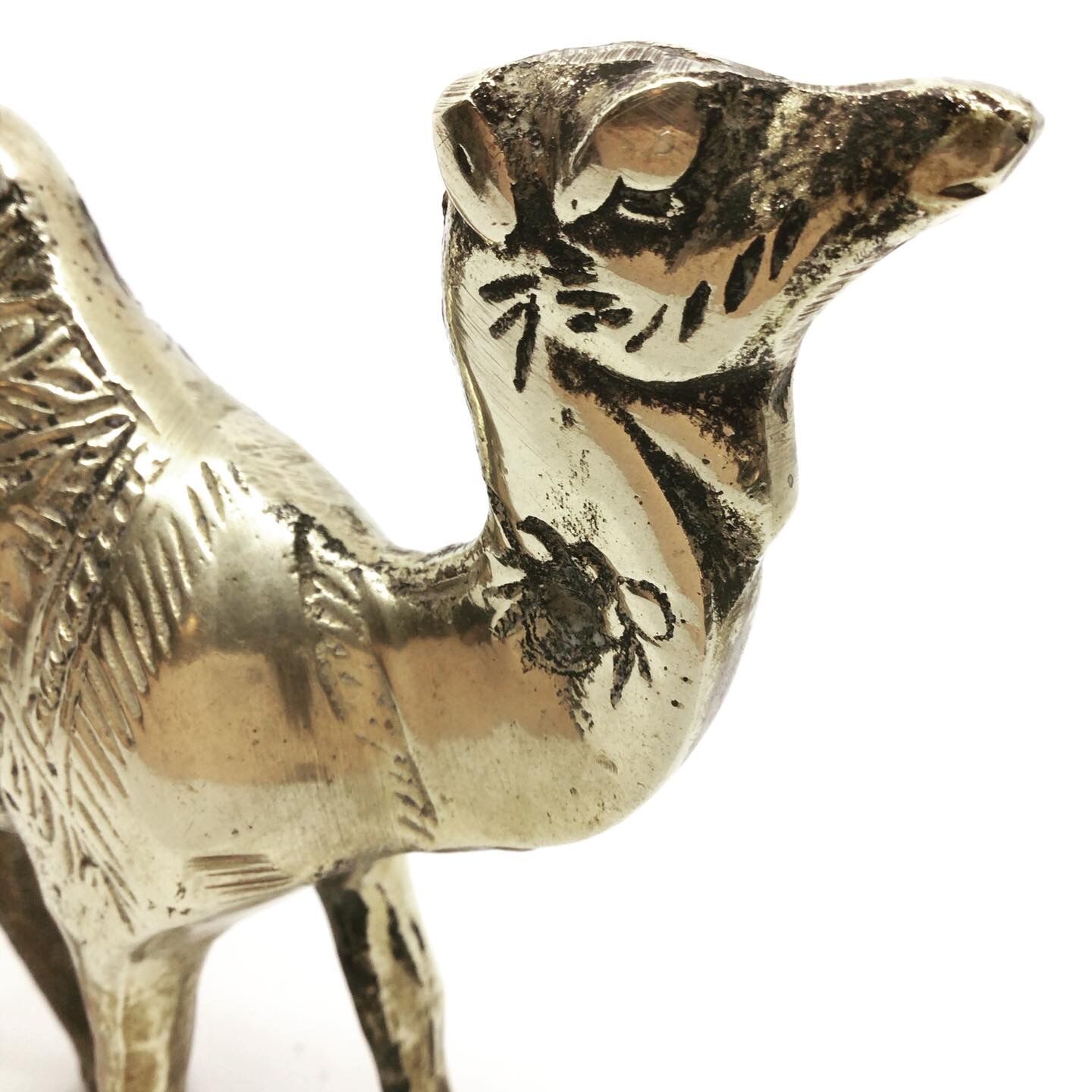 Golden brass camel