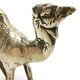 Golden brass camel