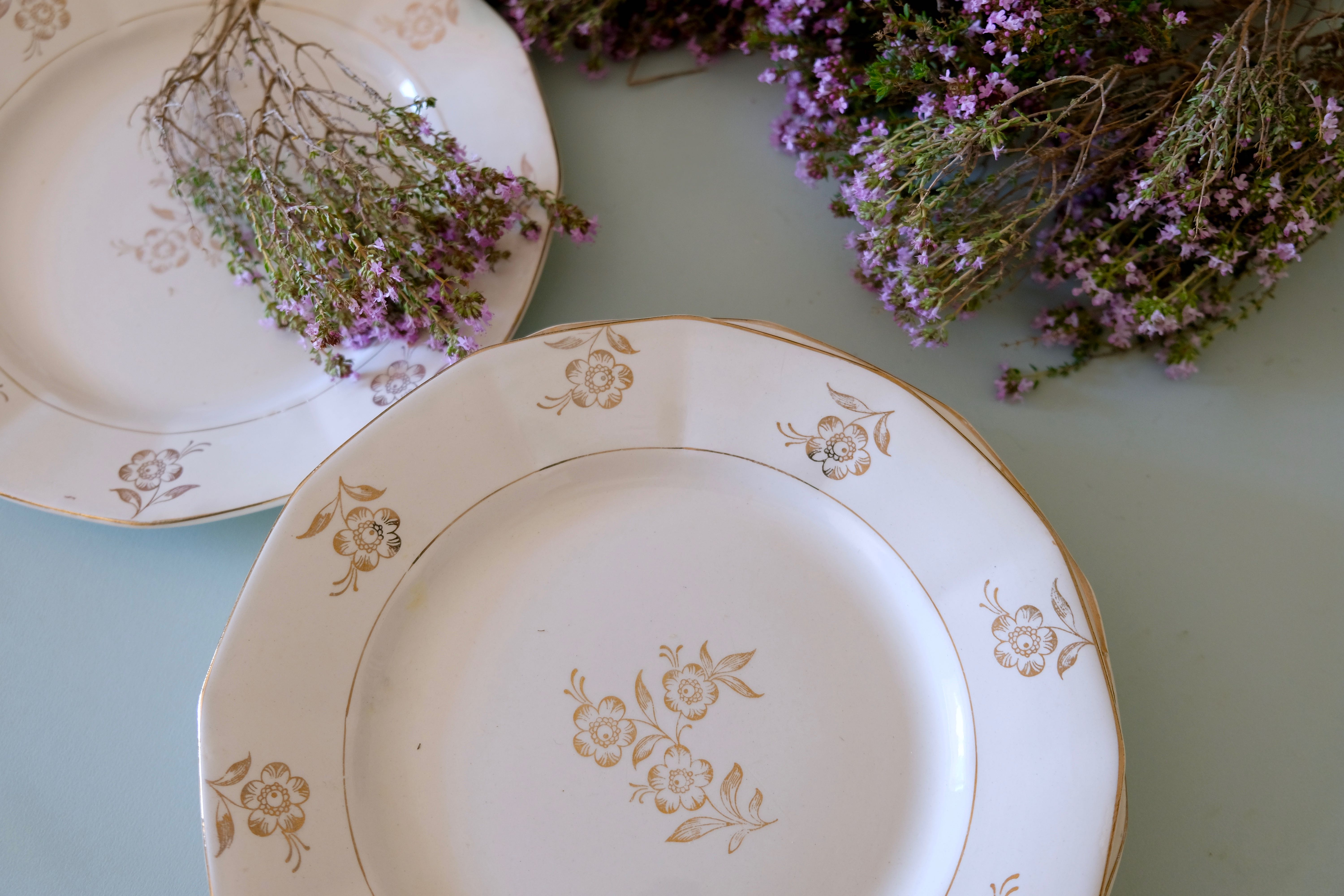 Set of opaque porcelain plates 'Raphael' from the French manufacturer Digoin-Sarreguemines