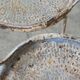Two iron garden chairs 1950