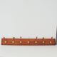 Large 1950s vintage wall-mounted coat rack