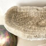 Large "shark cushion" coral 39cm