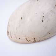New Guinea Shell Breastplate
