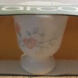 Arcopal lot of 4 shells scented pea pattern