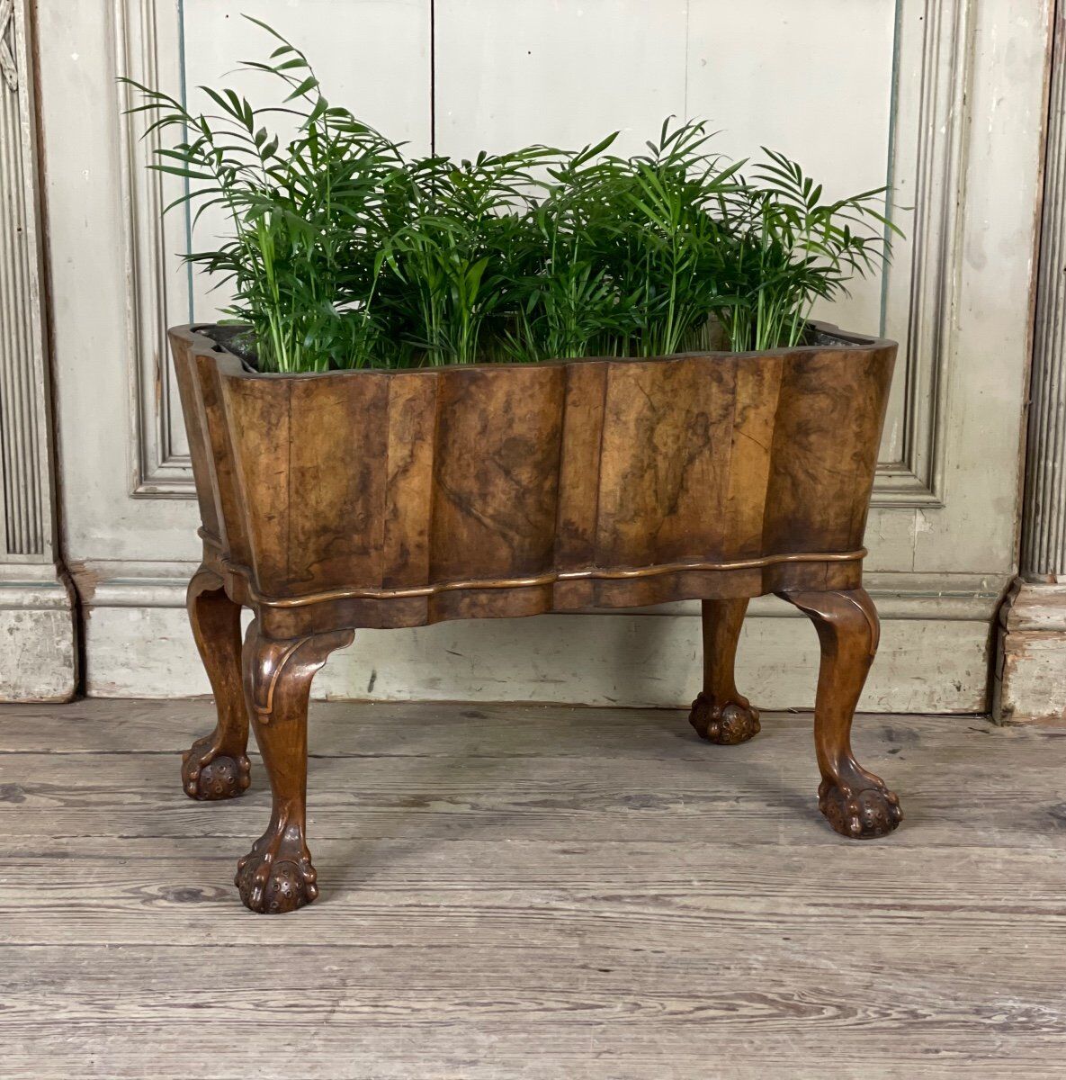 Planter in walnut, england circa 1880