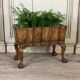 Planter in walnut, england circa 1880