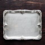 Vintage rectangular stainless steel tray - Rockery edge