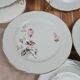 Set of 6 porcelain plates Tognana – antique rose pattern & gold rim