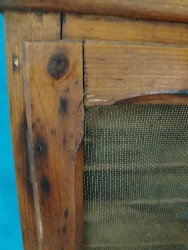 Antique Toscani Showcase in Wood, 19th Century