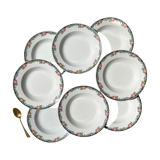 8 Digoin opaque porcelain soup plates with floral pattern "3984" ~