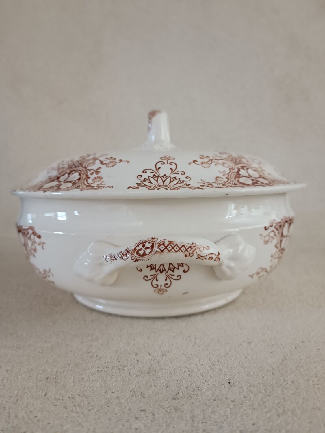 6 plates and vegetable iron earth Lunéville