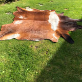 Old cow skin