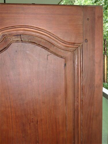 Paire de portes d'armoire ancienne XIXème ou antérieure