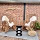 Vintage rattan armchair