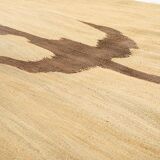 Tapis halfa bird
