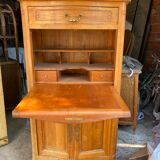 Secretary in ancient beech