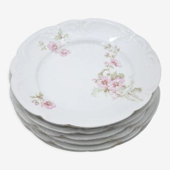 Old service 6 flat porcelain plates decoration flower collection art table