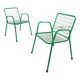 Paire de chaises Emu Rio 1980