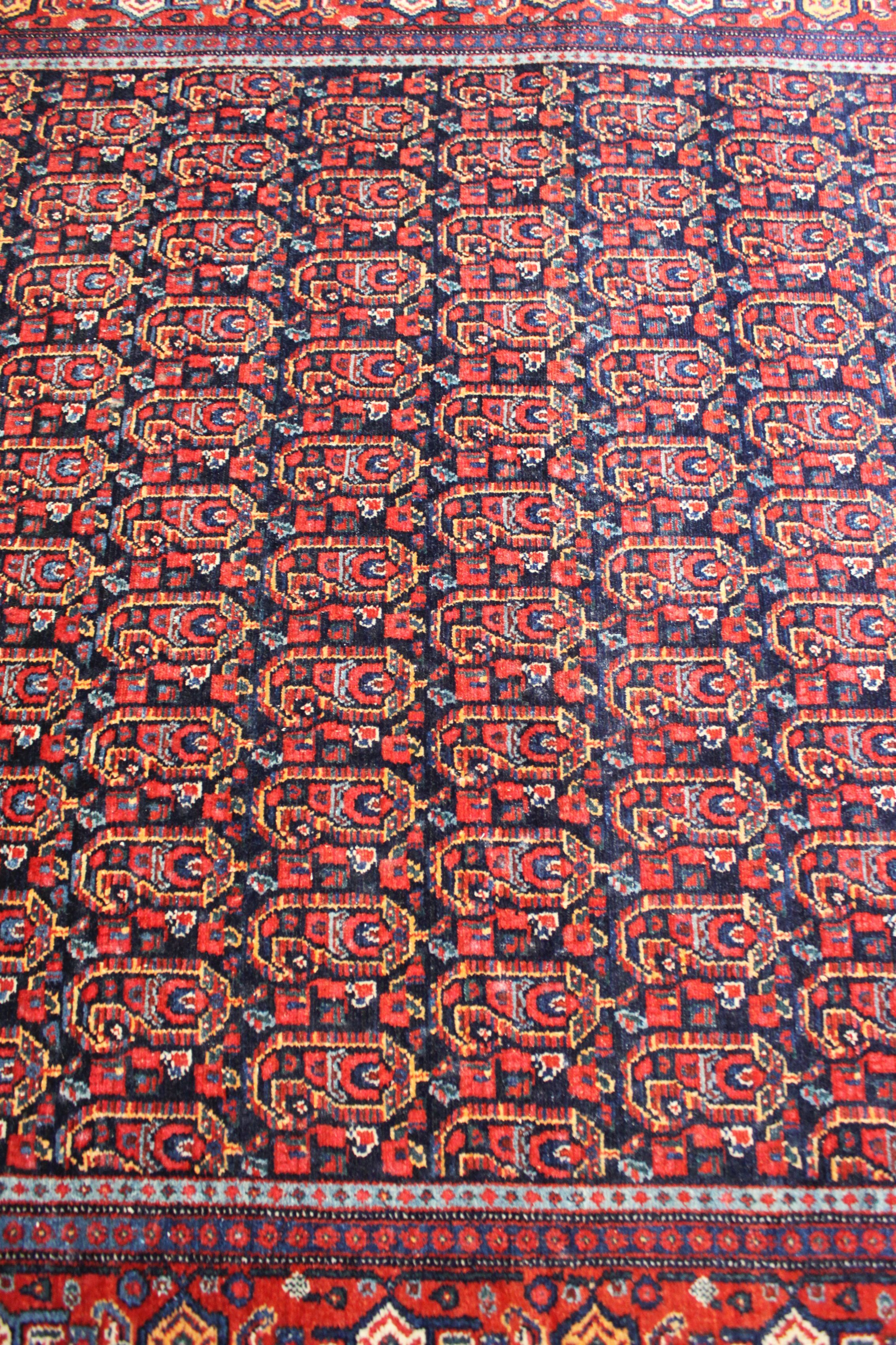 Persian carpet Afshar Iran