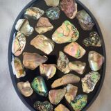 Abalone shell trifle 1969