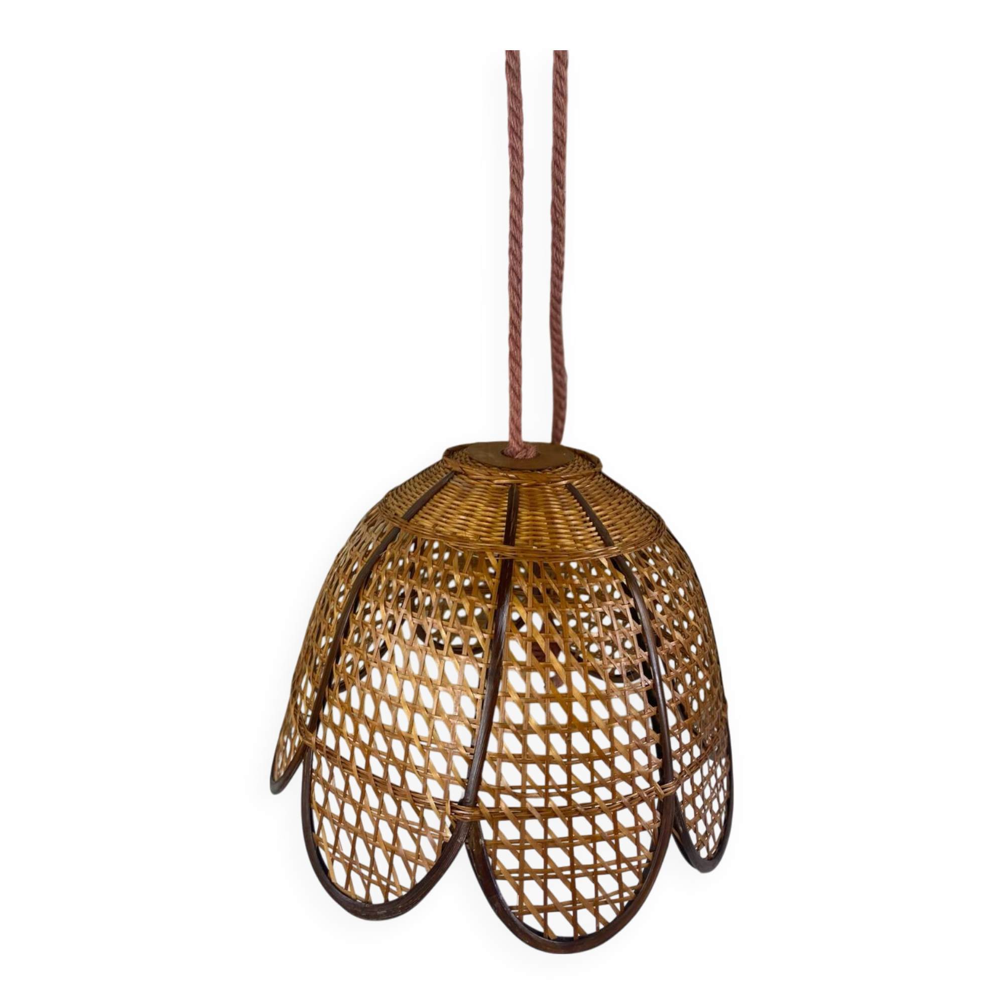 Vintage tulip hanging