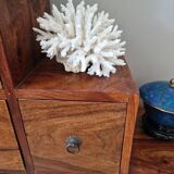 Large white coral