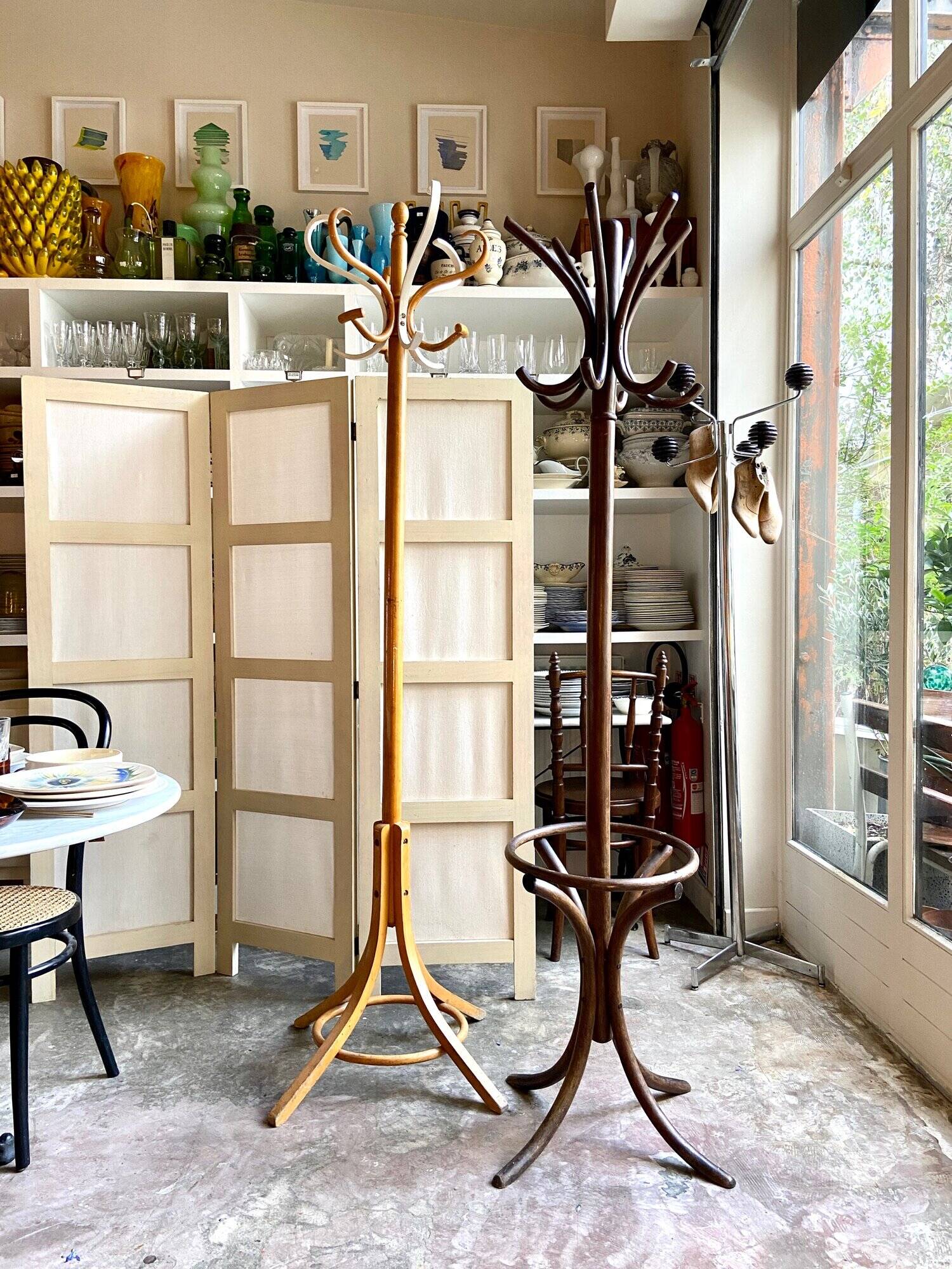 Parrot coat rack with 6 hooks in bent beech