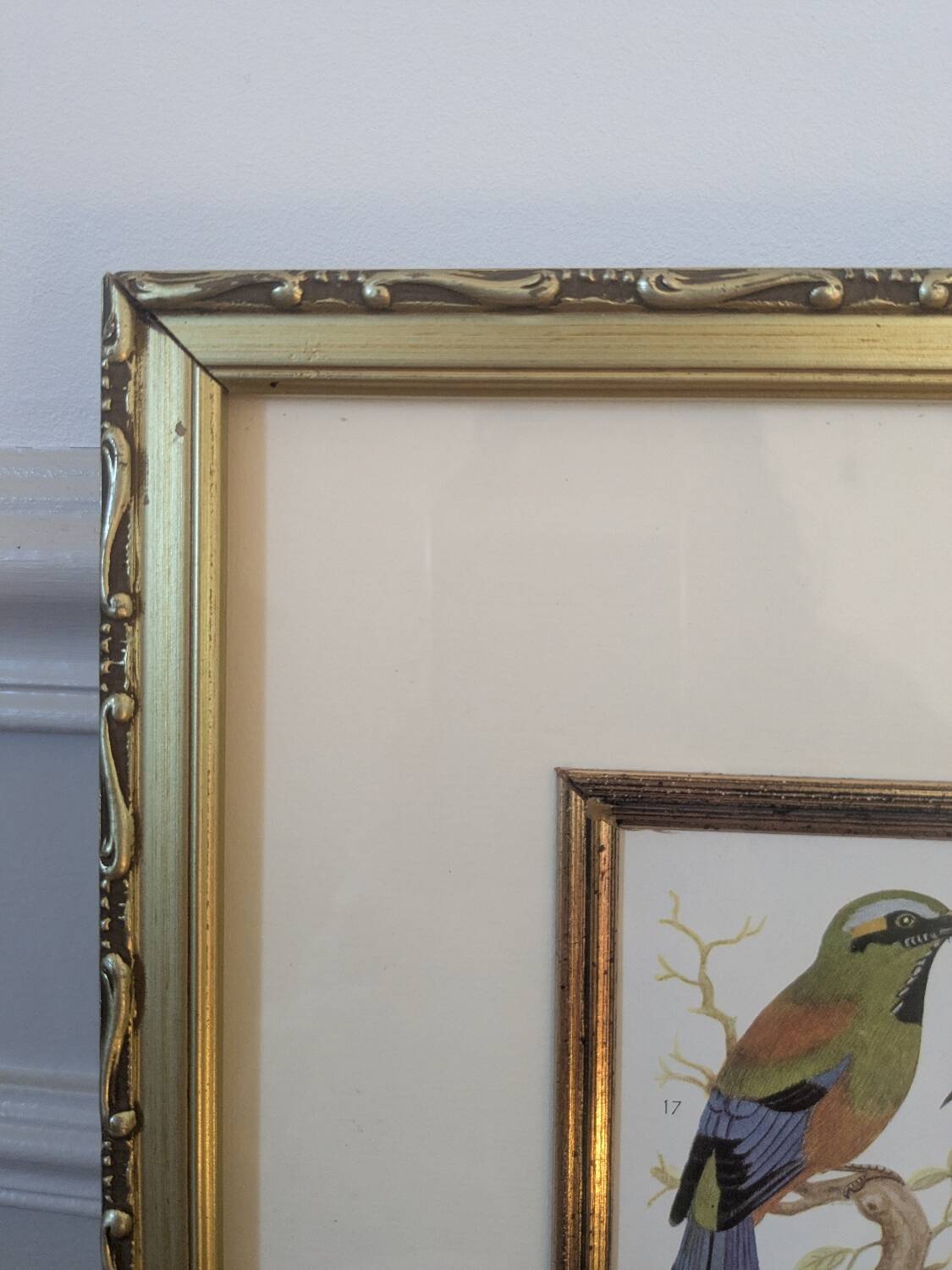 Lithographic frame of birds